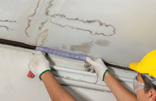 Reliable Water Damage contractor in Lawrenceville, VA by Water Damage Irwin